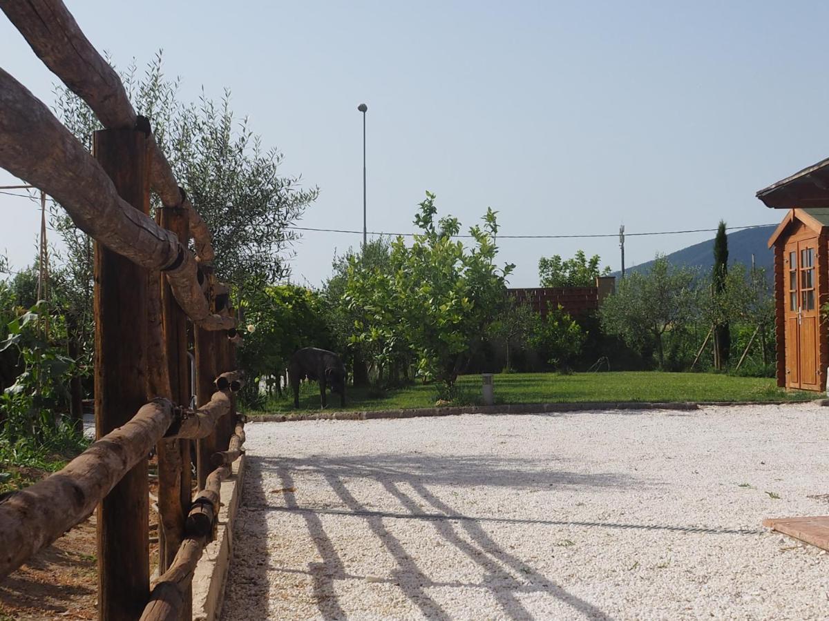 La Casa Di Samarcanda Uliveto Terme Luaran gambar
